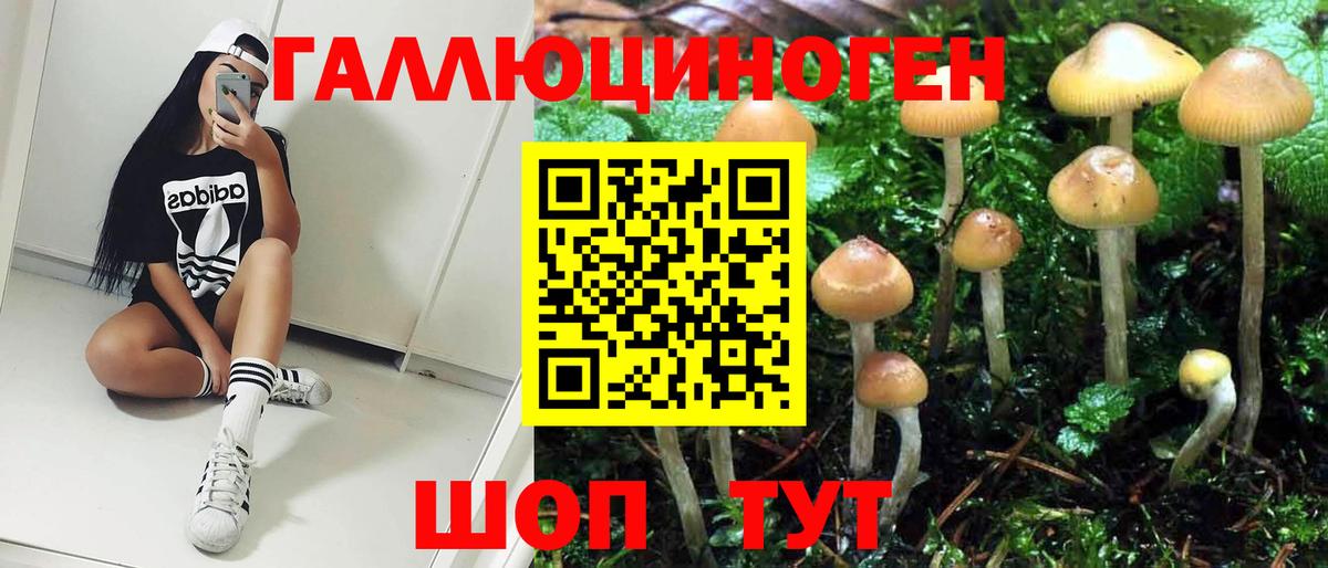 Галлюциногенные грибы GOLDEN TEACHER  Галлюциногенные грибы прущие грибы  Вход с VPN  Лангепас 
